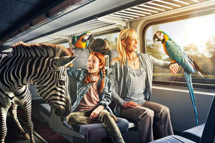 服务器攻击软件